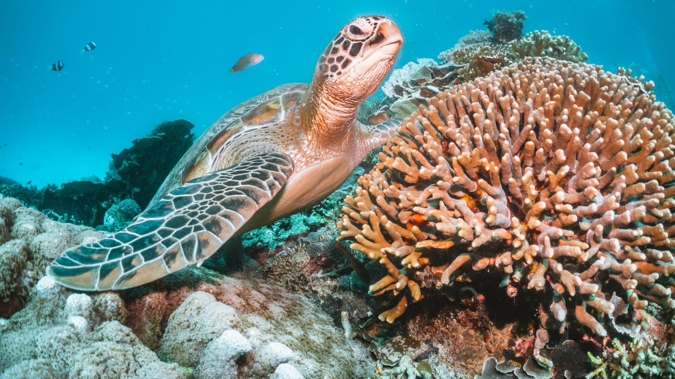 Destinations Thumbnail