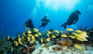 explo-playa-_uo_0834