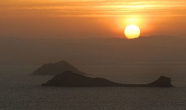 xrddaf-l9or9fe61j4815895541018871214t24031410