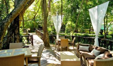 xrddae-plcjgg4211j7760108050443599010t23101316