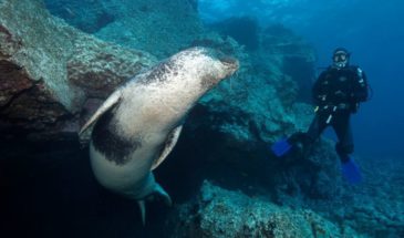 xrddaf-l9or9fe92j8524609841746412787t24031412