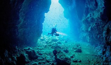 xrddaf-l9or9fe89j3367988263875823769t24031411