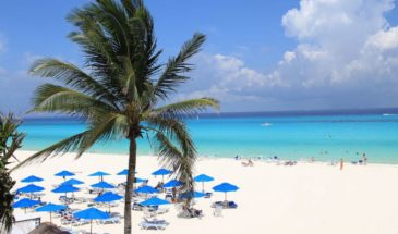 xrddae-plcjgg4212j8745270470726965602t23101316