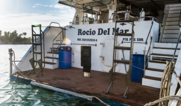 rocio_del_mar_dive_platform3